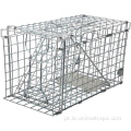 Armadilha de esquilo colapsível Humane Live Squirrel Cage Trap